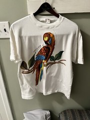 Hand Painted Parrot T Shirt Adult Large White Graphic Art Tee Unisex