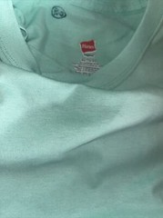 Pack Of 5 Hanes 5280 Mens Short Sleeve Essential 100% Cotton T-Shirt Mint