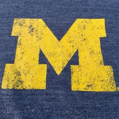 Michigan Wolverines T Shirt Men’s 2XL Gray Distressed Logo Fanatics NCAA
