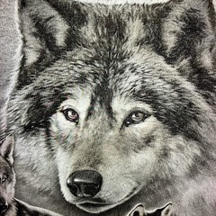Wolf Pack T-Shirt Adult Small Gray DOM Midnight Retro Nature Tee 100% Cotton