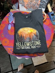 General Standard Yellowstone National Park T shirt Sz L Black Graphic Print