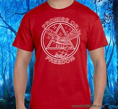Alcoholics Anonymous – PROMISE OF FREEDOM Tee – Select Your Color S-4X