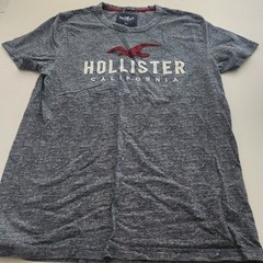 Hollister Embroidered Logo T Shirt Crew Neck Short Sleeve Mens Small Front Logo
