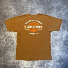 Harley Davidson Classic Models Pinup Girl T-Shirt Mens Large Brown Aurora CO