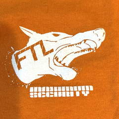 FTL FOLLOW THE LEADER BMX T Shirt L Skate Extreme Sports New York City USA