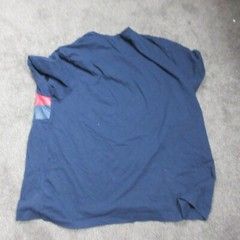 Tommy Hilfiger Graphic Shirt Mens 3Xl XXL Blue Logo Pullover