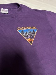 Vintage Gatlinburg Shirt Mens Large Purple Work Sucks Mountains Hanes 90s