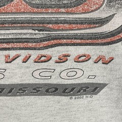 Vintage Harley-Davidson Shirt Mens Large Gray Doc’s St Louis Biker Tee Y2K Spots