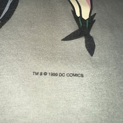 Vintage 1999 Batgirl Harley Quinn Poison Ivy Graphitti Shirt DC Comics Size XL