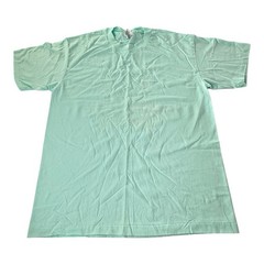 Vintage 90s Hanes Heavyweight 50/50 Blank T Shirt Mint Green USA Made Men’s L