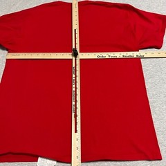 Champion Mens Large Red Spellout Chest Logo Cotton Crew Tee Classic Casual