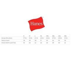Hanes 5180 Mens Cotton Crew Neck Tshirt Plain Stylish Blank Tee Beefy-T T-Shirt