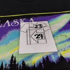 Vintage 1990 Alaska Northern Lights Aurora Borealis Men’s XL T-Shirt ’90s Tee
