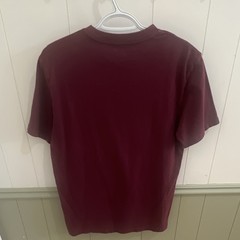 American Eagle Super Soft Standard Fit Graphic Logo Burgundy Crew Tee, Men S