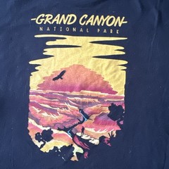 Grand Canyon T-Shirt Men’s L Wild Tribute Black 2 Sided Graphics Casual Travel
