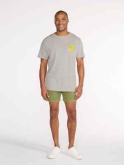 CHUBBIES MENS THE SHADY PALM T SHIRT GREY SIZE XL NWT