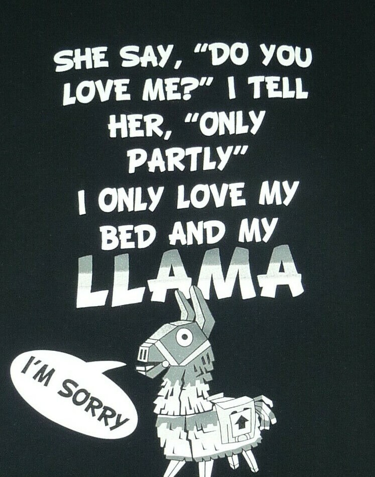 I Only Love my Bed and My Llama T-Shirt Shirt Size L Black Large USA Seller