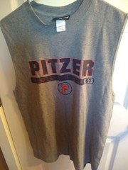 T-shirts lot of 12 adult medium various brands colors, some new