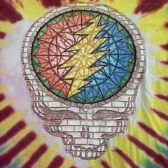 Vintage 1994 Grateful Dead Summer Concert Tour Tie Dye T-Shirt XL