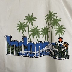 VTG 90s Tshirt Mens Large Indonesia Graphic Tee White Y2K Grunge Retro