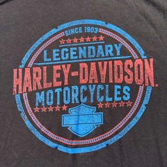 Harley Davidson Cowboy Austin TX Eagle Graphic T Shirt Mens 20×27