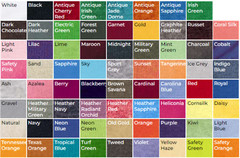 Custom TEXT/LOGO/PHOTO T-Shirt, Youth/Adult/Big Sizes to 6X, Many Colors!