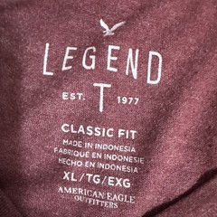 HUGE LOT 12 MENS T SHIRTS L L BEAN EDDIE BAUER AEO LUCKY NAUTIC XL X LARGE NWT