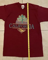 Vtg 80s California Palm Tree Faded Shirt M USA Art Beach Surf Grunge OP TC 90s