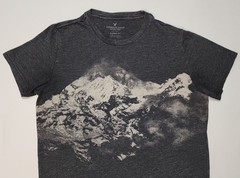 American Eagle Outfitters men Classic Fit M short sleeve t-shirt grey mountain