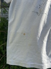 Vintage Hanes Tshirt