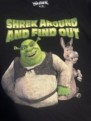 Dreamworks Men’s Black Shrek T Shirt Size XL Pullover Casual Comfort Cartoon