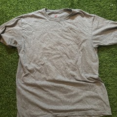 Hanes Mens 100% Cotton Authentic-T T-Shirt Crew Neck T Shirt