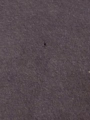 Vintage 2000s JNCO Five-0 Mugshot Black Shirt EXTREMELY RARE Size Medium See HTF