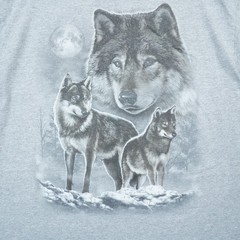 DOM Wolves Moon Nature Mens XL Gray Short Sleeve T-Shirt