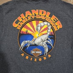 Harley Davidson Motorcycle Chandler Arizona Graphic Scorpion T Shirt Size Medium
