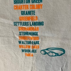 Gildan T-Shirt Mens L Richmond VA Metro Aquatic League Championship 2023 Blue