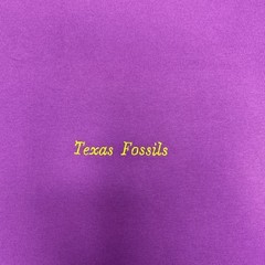 nike acg dri fit shirt Men’s Large Purple Texas Fossils New HV1296-505 Tee T