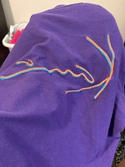 Karl Kani T Shirt Purple Embroidered Signature Logo Men’s Small Streetwear Tee