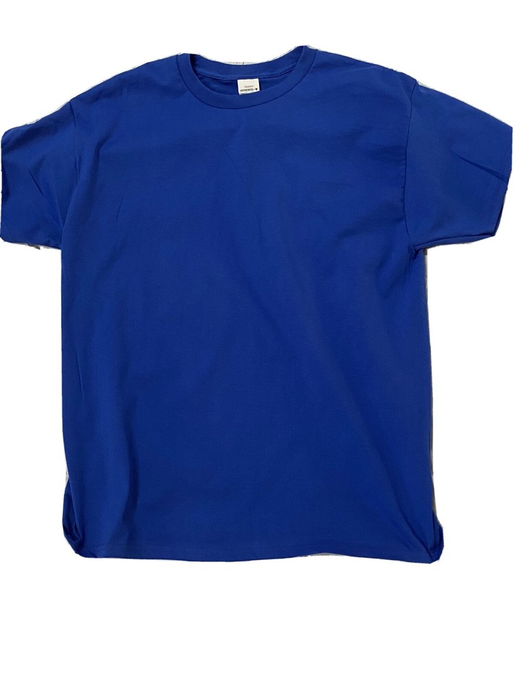 Hanes Authentic Men’s Plain Crewneck Short Sleeves Tagless T Shirt 5250
