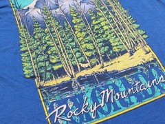 Vintage Rocky Mountains Shirt Mens Medium Blue 80s Short Sleeve Hanes Colorado