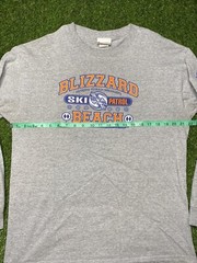 Disney Blizzard Beach L/S Shirt Men’s Resort Waterpark Size L Gray Walt World