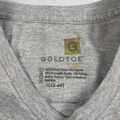 Goldtoe Shirt Men Large Gray Causal Basic Everyday Short Sleeve Tee