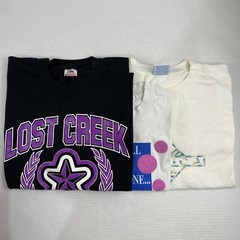 Wholesale Lot of 30 Vintage Short Sleeve Tee Shirts (Sizes In Description)