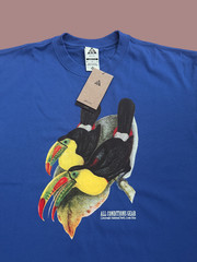 Nike ACG Blue Toucan Heavy Loose Fit T Shirt Men’s Sz M New $55