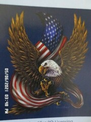 NEW Patriotic T-Shirt: American Eagle w/ Flag Lots of Colors & Sizes