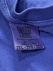 PHISH Authentic Dry Goods Spring 2025 Tour T-Shirt Comfort Colors XXL Blue LA