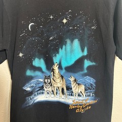 VTG Harley Davidson Wolf Fairbanks Alaska T Shirt Motorcycles M HD 2005 Wolves
