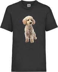 Miniature Poodle White Dog Pet Family Novelty T Shirt Various Colours And Sizes