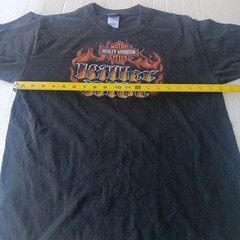 Vintage Y2K Harley Davidson Fairbanks Alaska Graphic T-Shirt Hanes Beefy L 2003