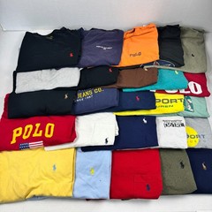 Wholesale Lot of 25 Ralph Lauren Men’s T-Shirts (Assorted Sizes)